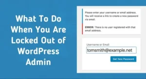 What To Do When You Are Locked Out of WordPress Admin
